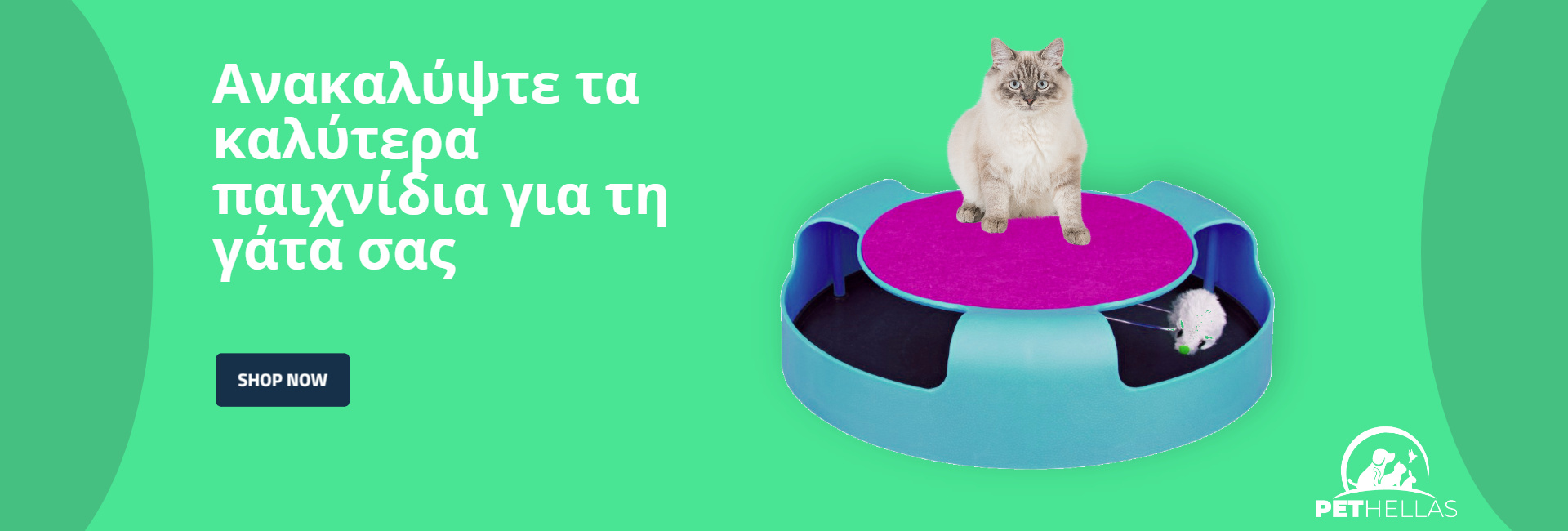 Αρχική 5 Παιχνίδια Γάτας Ροσφορά