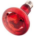 Ηοββυ Λαμπα Θερμανσησ Ερπετων Infrared Light Eco Υπερυθροσ Φωτισμοσ 70W