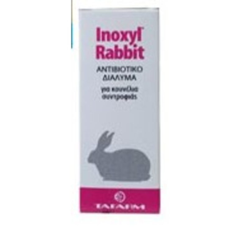 Inoxyl Rabbit