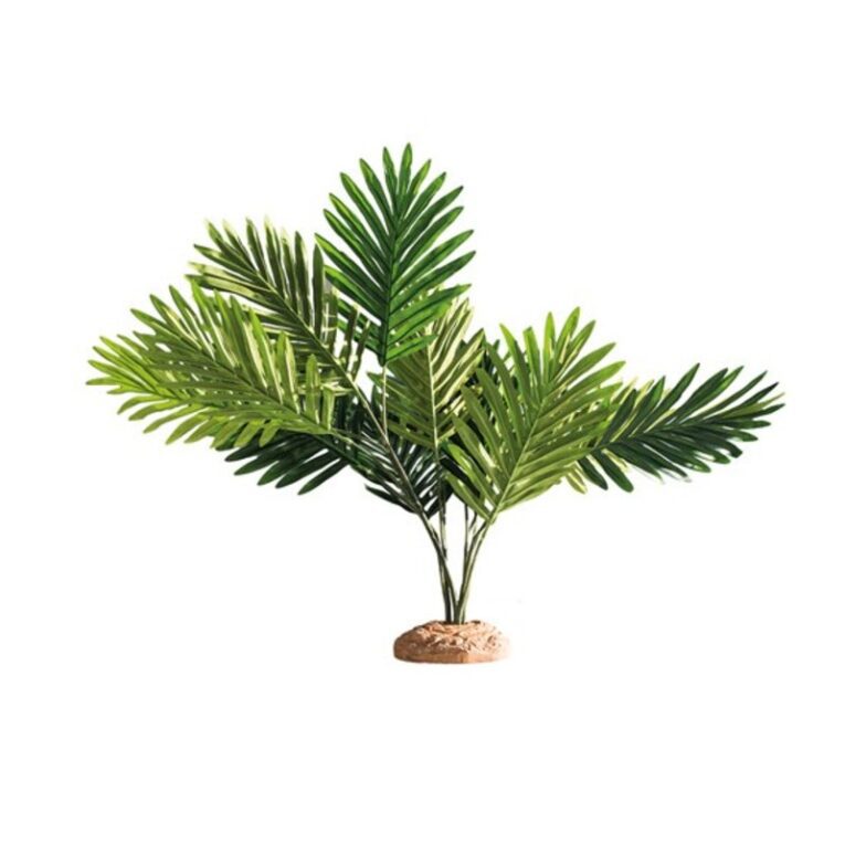 Palm 60 x 40 x 55 cm