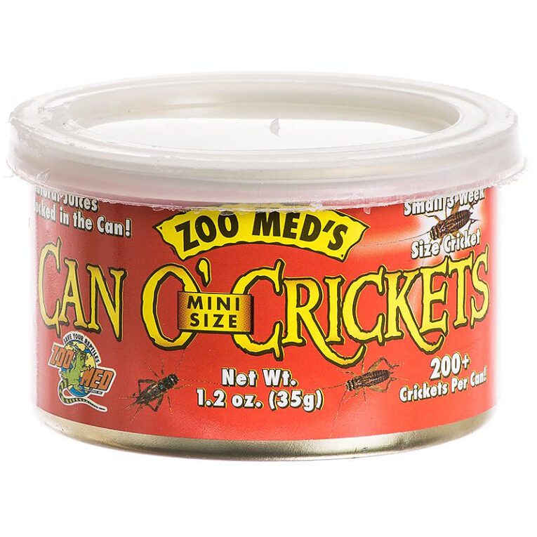 Mini Crickets Zoo Med Can