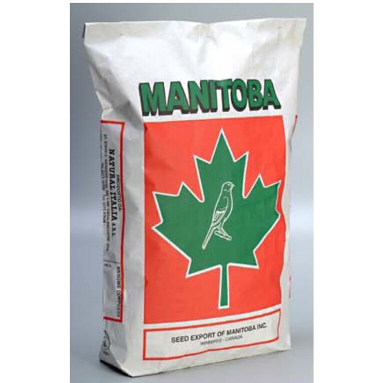 Κελαϊδίνη Manitoba T3 Platino – για καναρίνια χρώματος 1kg