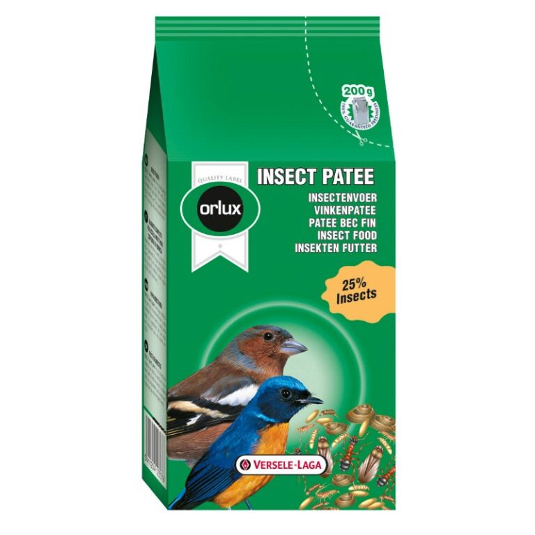 Insect Patee