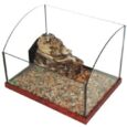 Pet Hellas Χελωνιέρα Γυάλινη Με Νησί 60Cm