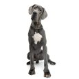 Great Dane Blue