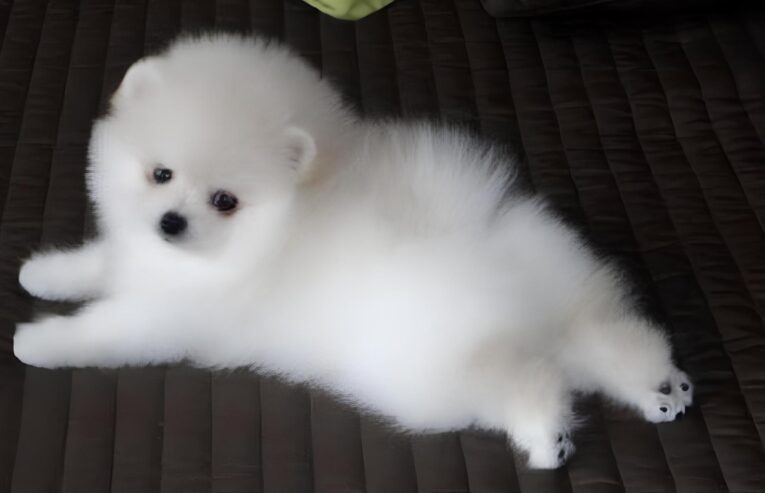 0-02-05-923e3aec7f59edc0ee43d14cb72522bedaad35a51439a2249f20600c6aebf40b_f804e94bf8efe360(1)