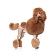 Poodle Giga