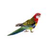 Rosella-Eastern