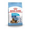 Royal Canin Maxi Starter Ξηρά Τροφή Κουταβιού 4Kg