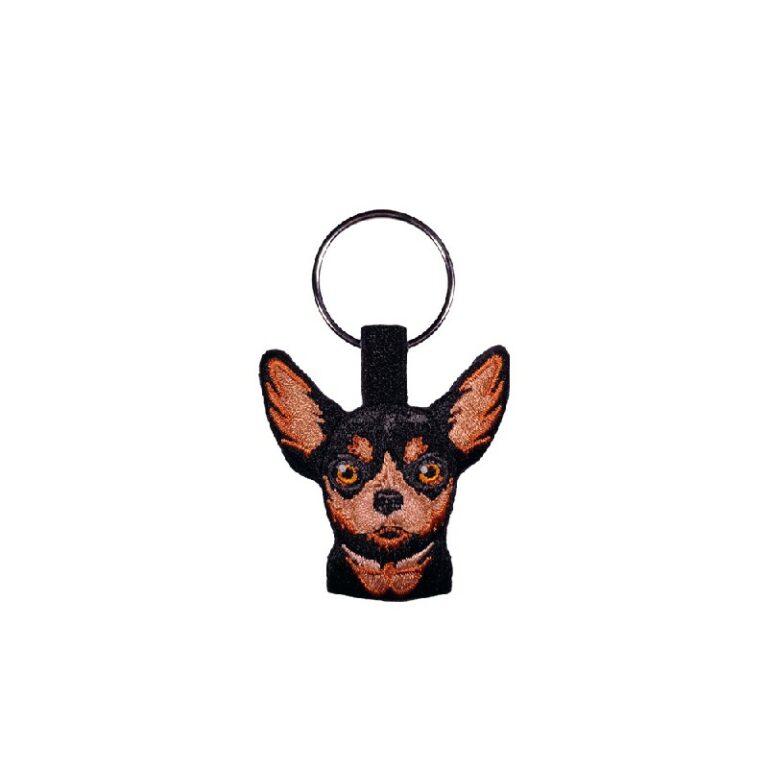 CHIHUAHUA BLACK 2