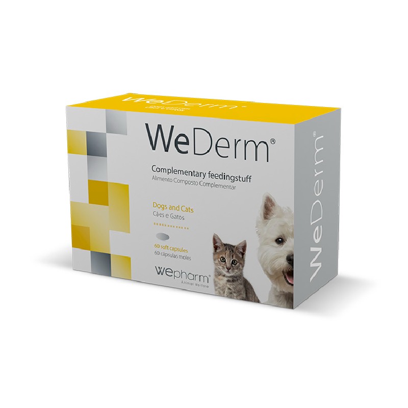 Wederm Ω3 Ω6 Λιπαρα Βιταμινεσ Μεταλλα Για Τριχωμα Και Δερμα