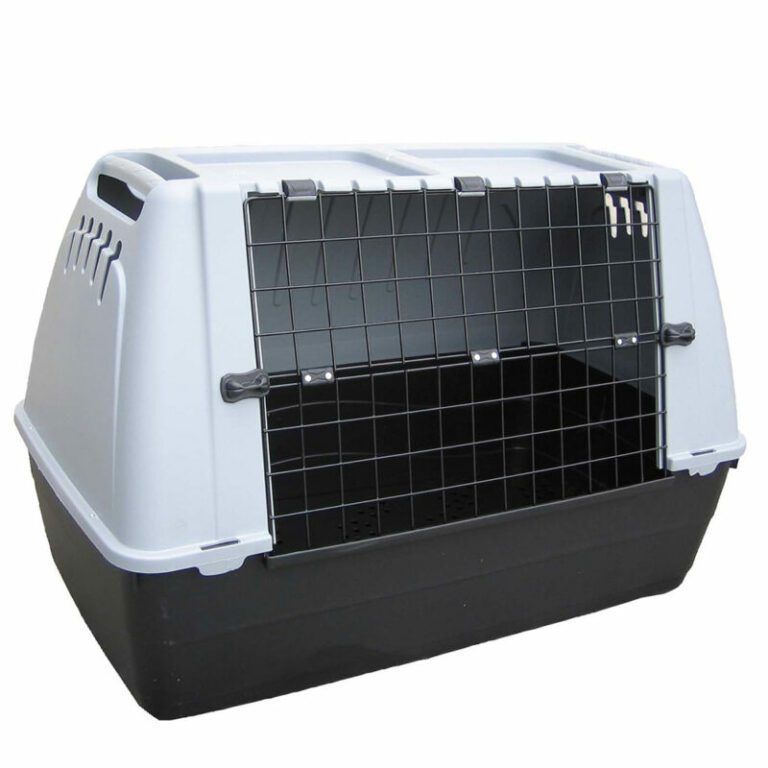 klouvi-metaforas-bracco-zoopat-800×800