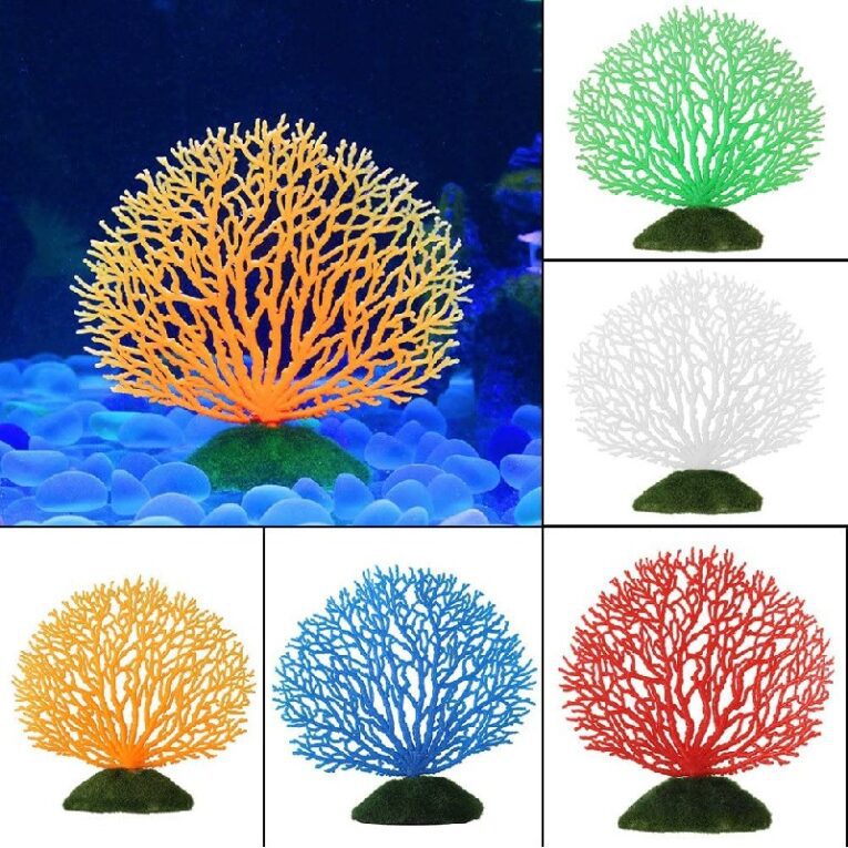 coral 2