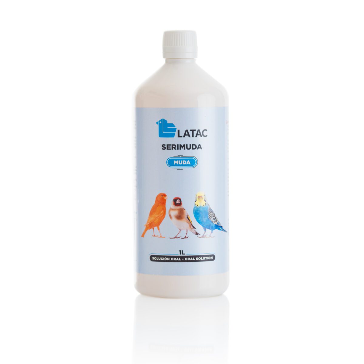 Fotolatent Latac V2 097 Scaled 1