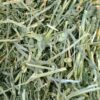 Χόρτο Oxbow Alfalfa Hay 4Kgr 4