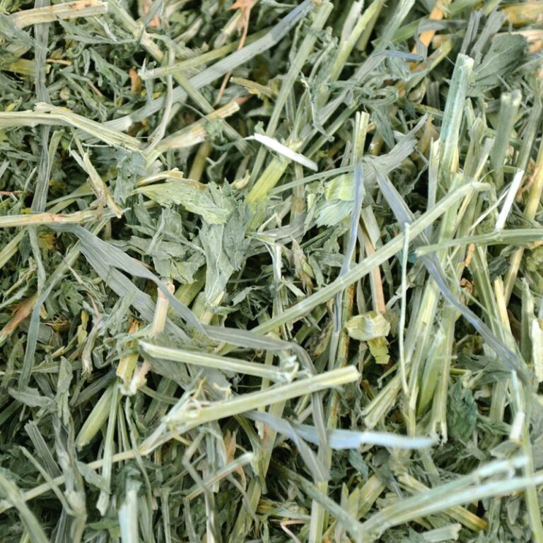 Χόρτο OXBOW Alfalfa Hay 4Kgr (4)