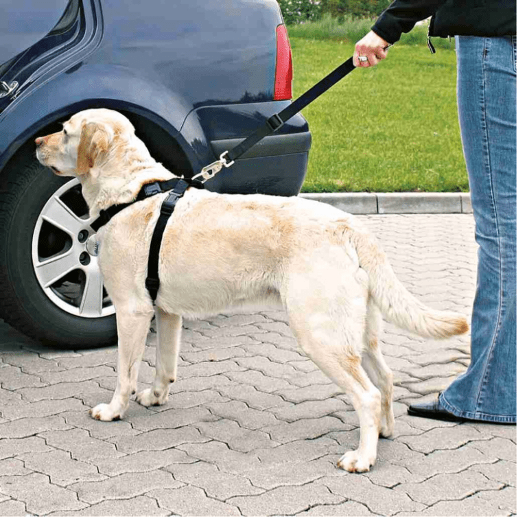 Ζώνη Ασφαλείας Αυτοκινήτου Σκύλου Trixie Car Harness Μαύρο Large 5