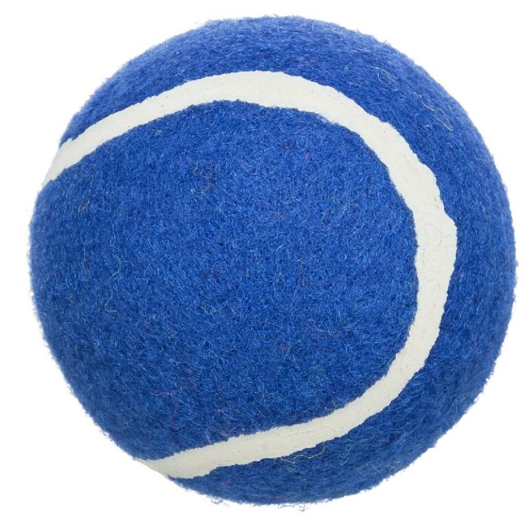 Μπάλα τένις 1