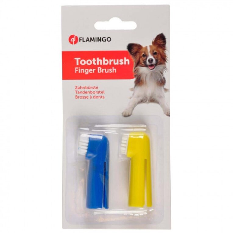 Οδοντόβουρτσα Set Tooth+Massege Brush