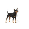 Pet Hellas Φακελάκι Royal Canin Digestive Care 85Gr 1 1