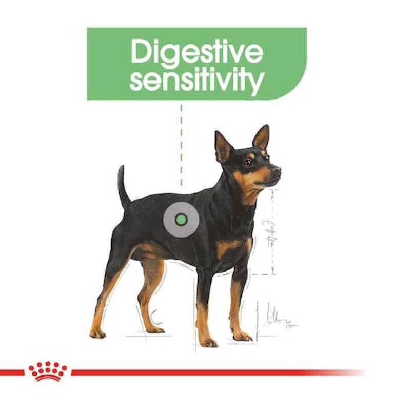 Pet Hellas_Φακελάκι Royal Canin Digestive Care 85gr_3 (1)