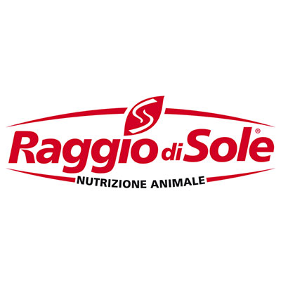 raggio