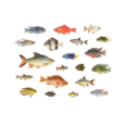 Ψάρια