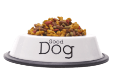 Τροφές Σκύλου