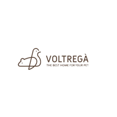 Lotrega-Removebg-Preview