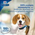 Hill’S Prescription Diet C/D Urinary Care 10Kg + 2Kg Δώρο Ξηρά Τροφή Για Ενήλικους Σκύλους Με Κοτόπουλο