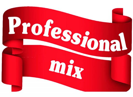 professional mix logo