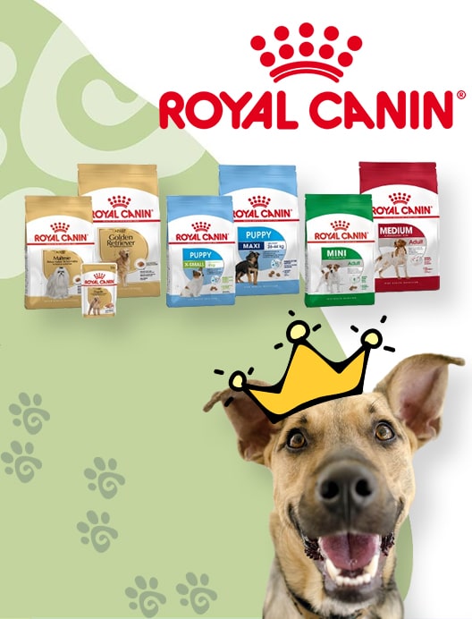 Royal Canin-Min