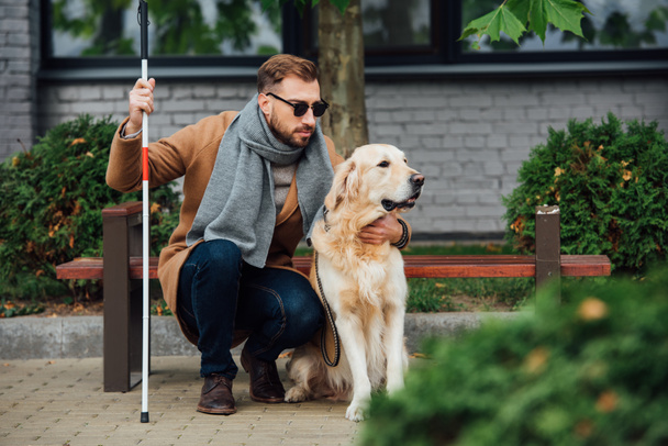 Stock Photo Blind Man Walking Stick Hugging Guide Dog Street