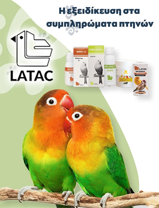 Latac-Min