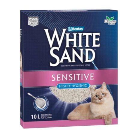 123 1