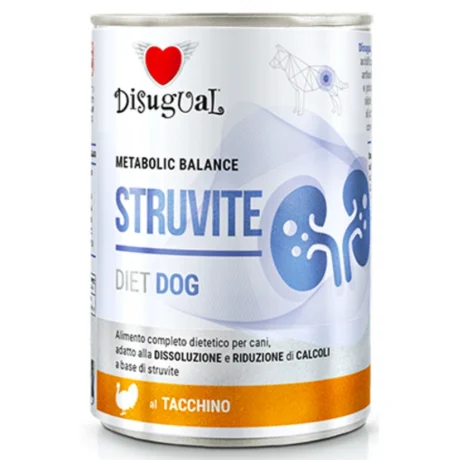 DSVETD19