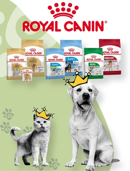 royal canin 2-min