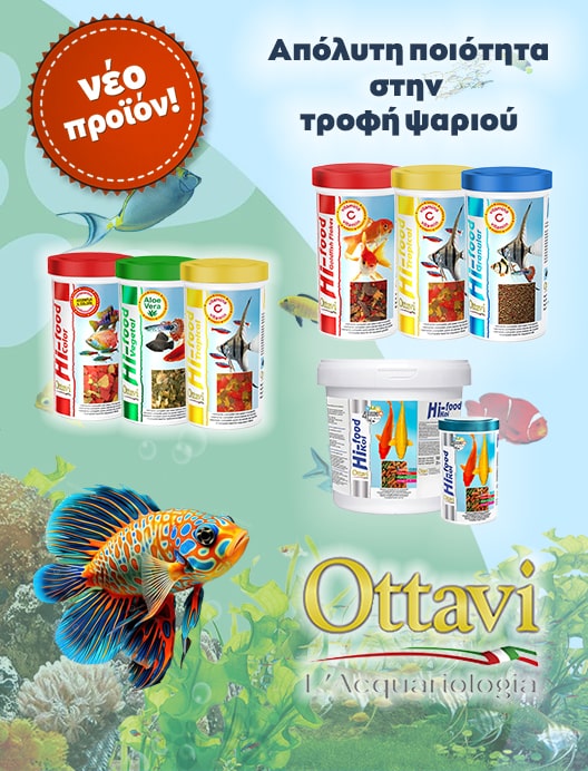ottavi 2-min