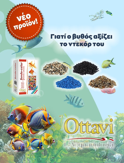 ottavi 3-min