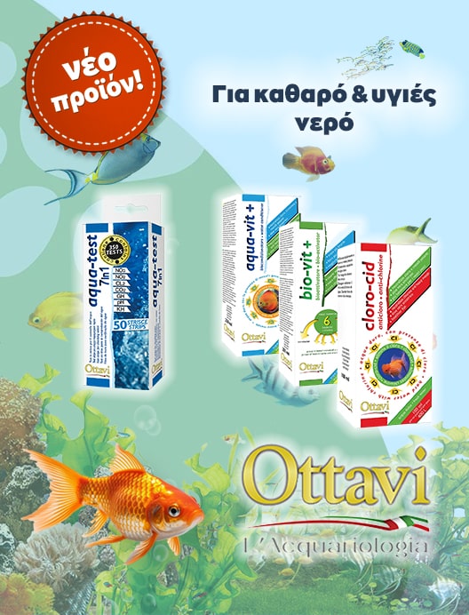 ottavi 5-min