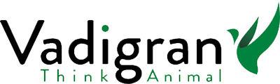 vadigran