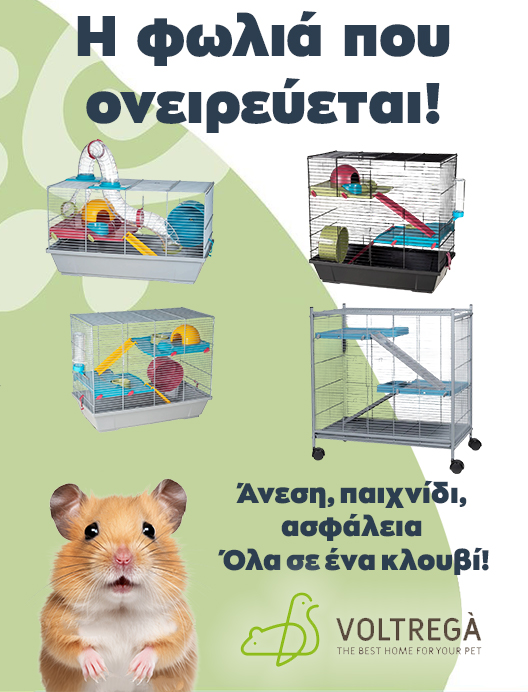 voltrega
