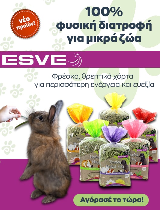 ESVE-min