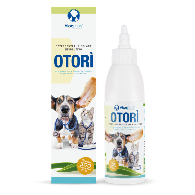 Otorì - Main front-100