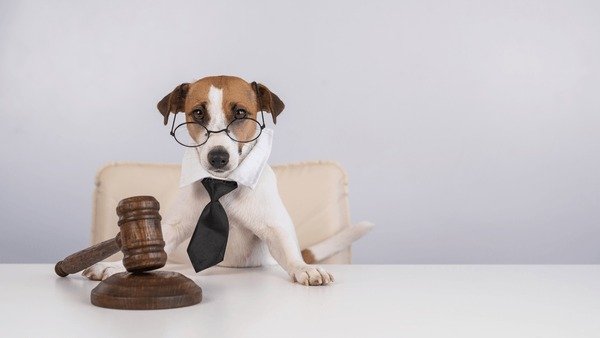 jack russell terrier dog tie 600nw 2140700049