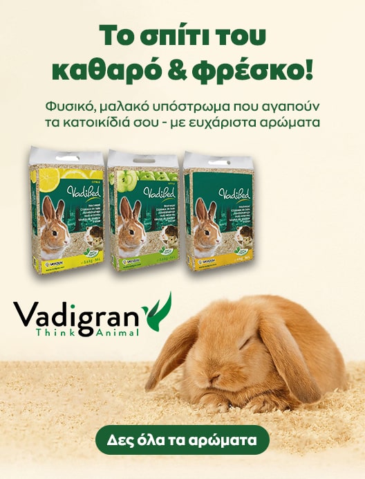 vadigran τρωκτικα 2-min
