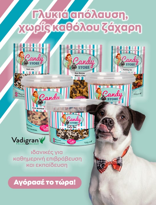 viber_image_2025-07-23_14-42-41-380