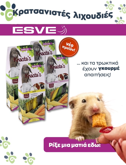 τρωκτικα μιν