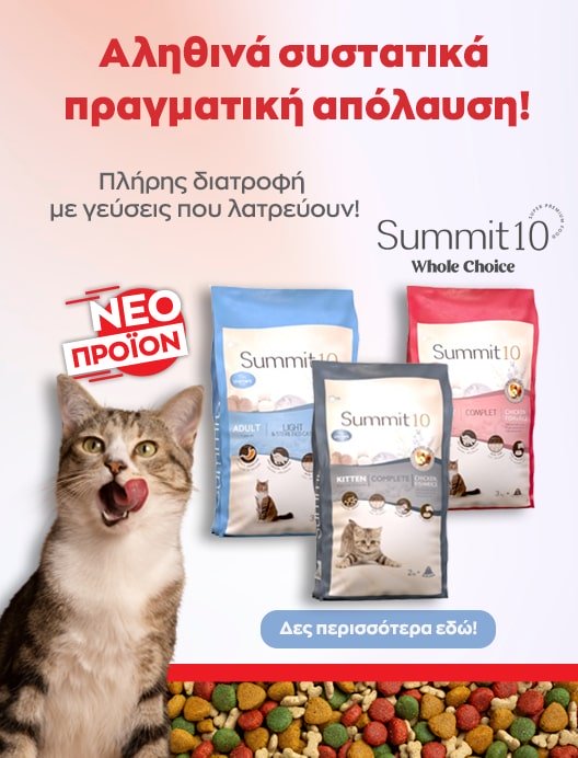 γατα σαμμιτ10 καρουζελ-min