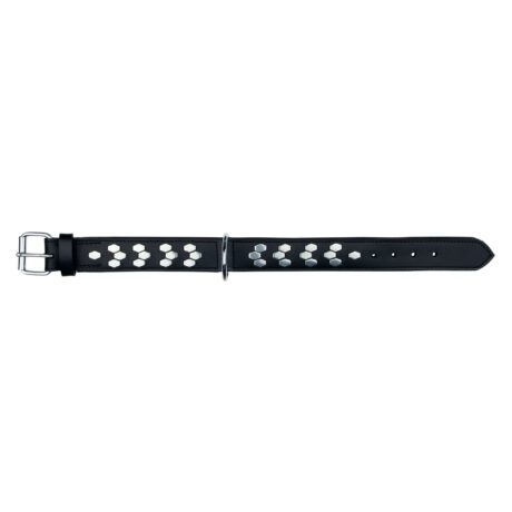 Trixie Active Περιλαίμιο Δερμάτινο Μαύρο με Κουμπιά Large/XLarge 55-65cm/40m